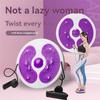 Resistance-Band Half-Twist Board, Fitness Equipment, Waist Trainer view 3