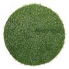 Angoily Green Artificial Grass Mat with Artistic Design view 1