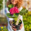 Garden Plant Labels, 50 Waterproof Wooden Stakes with Pen view 3
