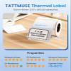 Direct Thermal Label Paper, 3 Rolls, 50 x 30 mm, 230 Labels/Roll view 2