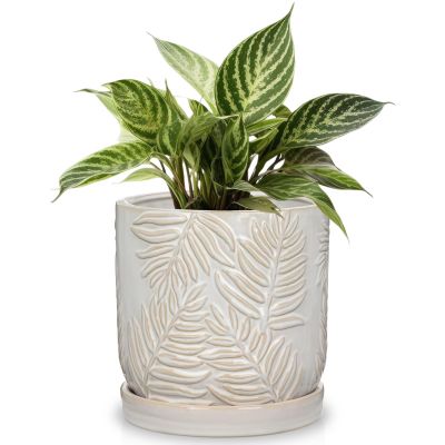Arborus Ceramic Flower Pot, 14 cm, White, with Drainage Holes and Saucer, Embossed Leaf Design