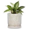 Arborus Ceramic Flower Pot, 14 cm, White, with Drainage Holes and Saucer, Embossed Leaf Design view 1