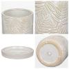 Arborus Ceramic Flower Pot, 14 cm, White, with Drainage Holes and Saucer, Embossed Leaf Design view 3