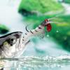 Saltwater Fishing Lures, 5-Piece Simulated Shrimp Set view 2