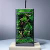 Geometric Glass and Tin Terrarium for Plants, Table Decor view 3