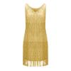 Women's V-Neck Fringe Dress, 1920s Charleston & 1970s Disco Costume view 4