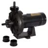 Black Pool Pump with Advanced Design, Quiet Performance and Energy Savings view 1