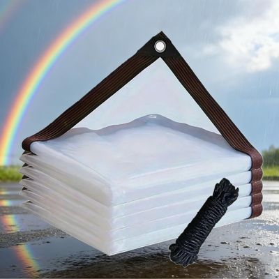 Transparent PVC Tarp with Eyelets, 490 x 600 cm