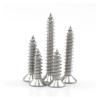 Phillips Flat-Head Stainless Steel Sheet Metal Screws M1.2 M1.4 M1.7 M2 M2.3 M3 M4.2 M4 M5 M6 for Sheet Metal (12 mm) view 2