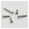 Phillips Flat-Head Stainless Steel Sheet Metal Screws M1.2 M1.4 M1.7 M2 M2.3 M3 M4.2 M4 M5 M6 for Sheet Metal (12 mm) view 4