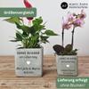 mamir home Personalized Wedding Gift for the Couple, Large Concrete Planter | Wedding Money Gift, Hand in Hand—One Lifetime, 13 x 13 x 13 cm view 4
