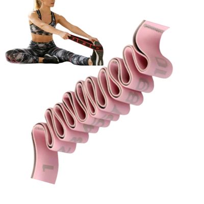 DehnFr Fitness Training with Adjustable Handle and Stretching Strap