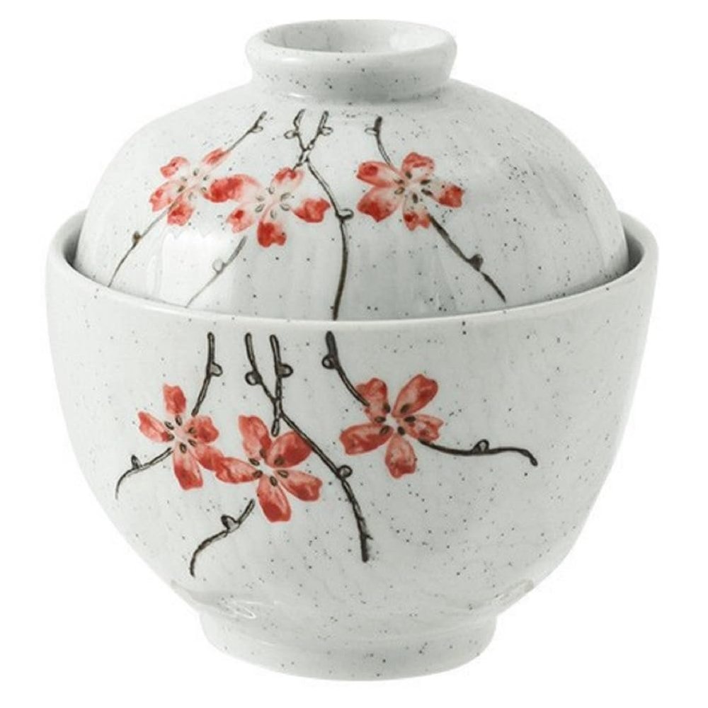 EdirFtra Hand-Painted Japanese Ceramic Rice and Soup Bowl with Lid