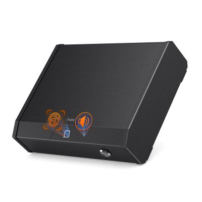 Riuulity Biometric Compact Firearm Safe with Gas Spring and LED Light