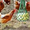 Veemoon Durable Hanging Green Nylon Feeding Net with Reinforced Rope for Livestock view 3