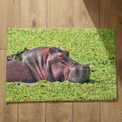 Isdreem Large Personalized Funny Hippo Welcome Doormat, Indoor/Outdoor, 50 x 80 cm