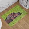 Isdreem Large Personalized Funny Hippo Welcome Doormat, Indoor/Outdoor, 50 x 80 cm view 2
