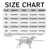 Colorful Dog Outfit with Cartoon Horse Print, Machine-Washable Shirt for Medium and Large Dogs view 3