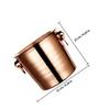 JOINPAYA Thick-Wall Stainless Steel Ice Bucket for Drinks view 2