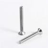M2 Stainless Steel Phillips Flat Countersunk Machine Screws, 25/50-Pack view 2