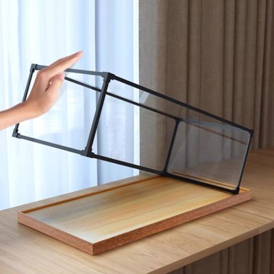 WEKONUMEX Acrylic Display Case for Collectibles, 30 x 20 x 20 cm