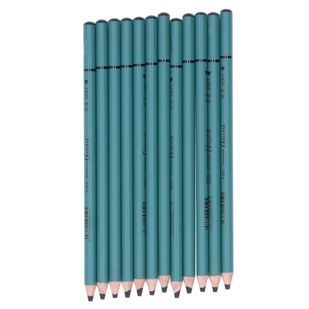 RASTKY Charcoal Art Set, 12 Pieces, Smooth Drawing, Easy to Sharpen