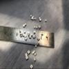 4-Pack PZT5 Square Piezoelectric Ceramic Plates, 30 × 5 × 0.5 mm view 3