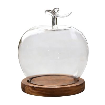 szaluyk Fruit-Shaped Glass Cloche Display Dome