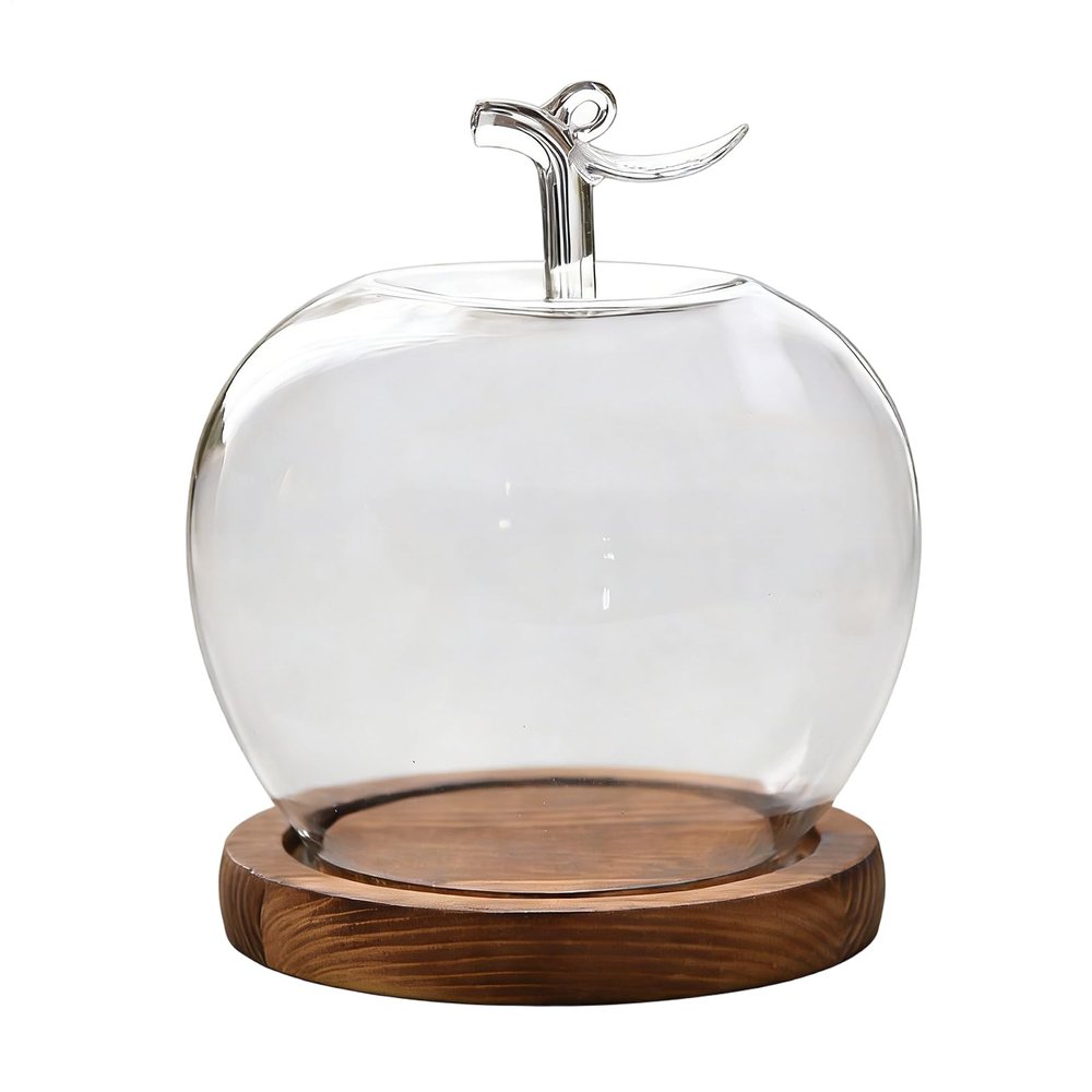 szaluyk Fruit-Shaped Glass Cloche Display Dome