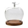 szaluyk Fruit-Shaped Glass Cloche Display Dome view 1
