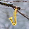 18 Mini Plastic Musical Instrument Ornaments for Decoration view 4