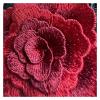 Embroidered Floral Appliqué Patches for Sewing or Ironing On, Multicolor (Pink) view 3