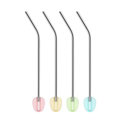 Tescoma Stainless Steel Straws with Filter myDRINK, 4 pcs, with Cleaning Brush - 308869