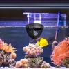 ZEPFJHE Betta Fish Hammocks, Adjustable-Height Aquarium Resting Areas view 3