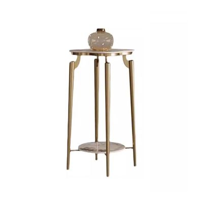 Jian1004 Plant Stand, Lightweight Luxury Stone-Top Stand for Indoor Use, Stainless Steel Shelves for Living Room and Balcony (M)