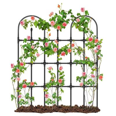 Outdoor Trellis Plant Support and Climbing Aid