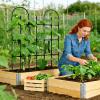 Outdoor Trellis Plant Support and Climbing Aid view 2