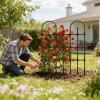 Outdoor Trellis Plant Support and Climbing Aid view 3