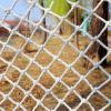 Nylon Mesh Safety Net for Children and Pets, White, 10 cm Mesh, 3 x 10 m view 1