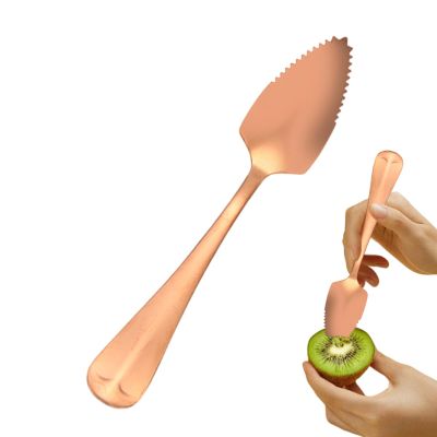 Stainless Steel Grapefruit Spoon - 15.5 cm