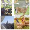 Bird Netting for the Garden, UV-Resistant Nylon, 20 m x 15 m, 2 cm Mesh view 2
