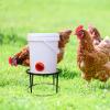 KONTONTY Sturdy Metal Stand for Chicken Feeders and Waterers view 4