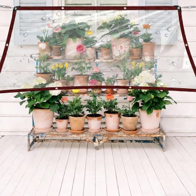 Clear Tarp 135 x 165 cm, Heavy-Duty PE Tarp with Reinforced Eyelets, Waterproof, Foldable, with Rope