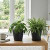 Vyveo Norden Planter, Set of 2, 17 x 15 cm, Dark Gray view 4
