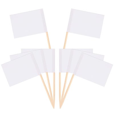 Qianyu 200 Count Blank Toothpick Flags