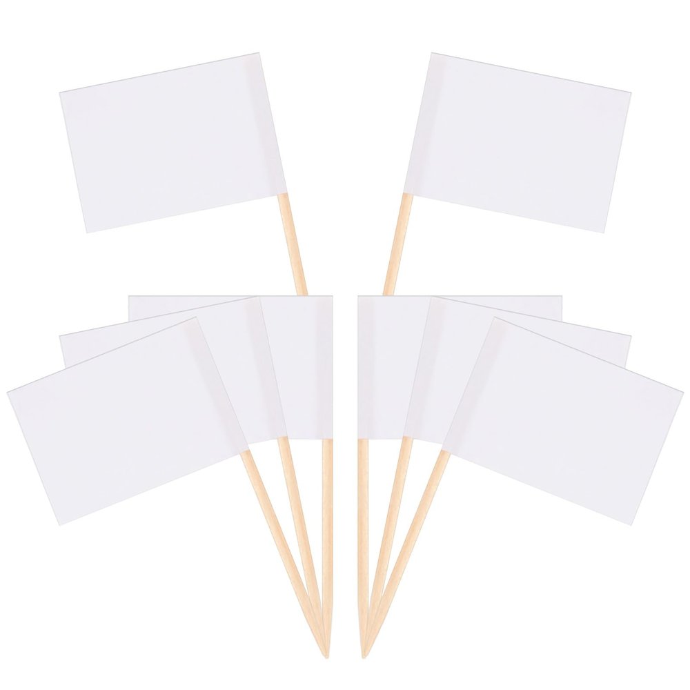 Qianyu 200 Count Blank Toothpick Flags