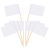 Qianyu 200 Count Blank Toothpick Flags view 1