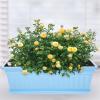 HOMSFOU 4-Pack Rectangular Window Boxes with Saucers for Herbs view 3