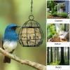 4-Pack Metal Hanging Bird Feeders with Chains and Suet Ball Holders view 3