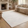 Enyhom Beige Shaggy Short-Pile Area Rug, 120 x 160 cm view 1